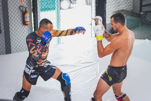 Short mma homme pas cher : guide pour choisir efficacement